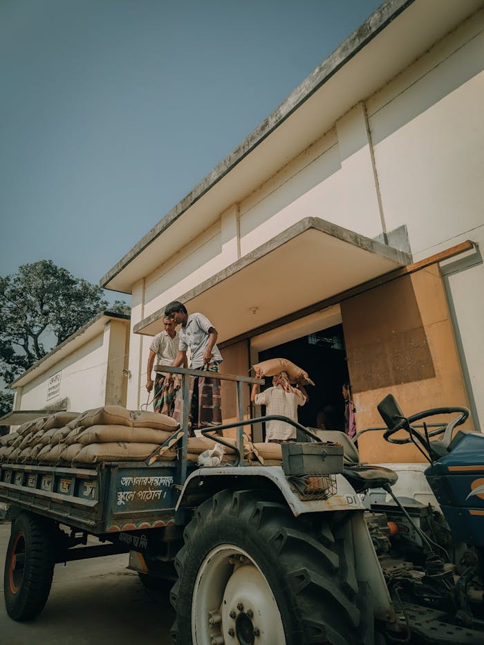about-us Men transporting sacks onto a trailer outside a warehouse using manual labor.
