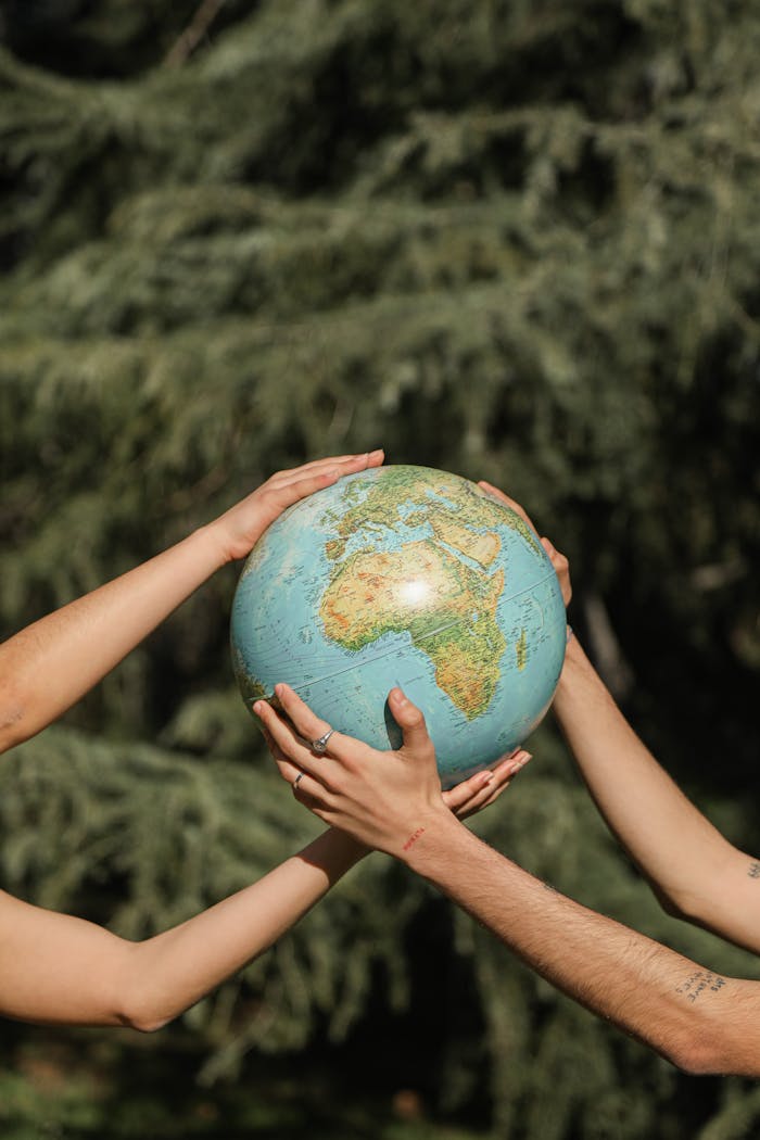 why-choose-us Four hands holding a globe outdoors, symbolizing unity and environmental conservation.
